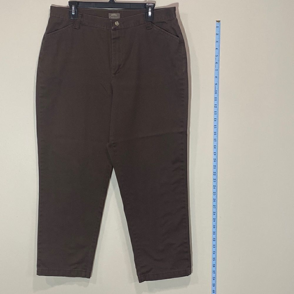 Riders Brown Casual Pants. Size 16P.